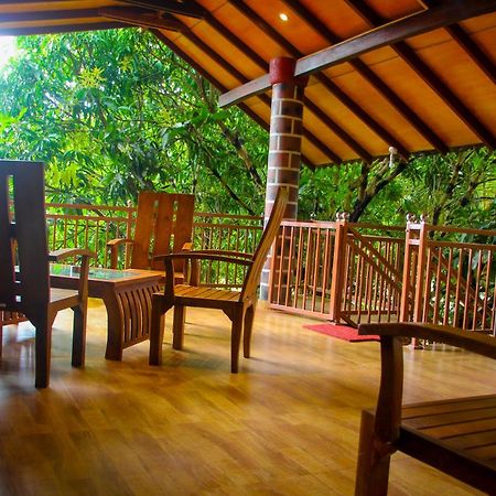 Sigiriya Peacock Homestay Eksteriør bilde