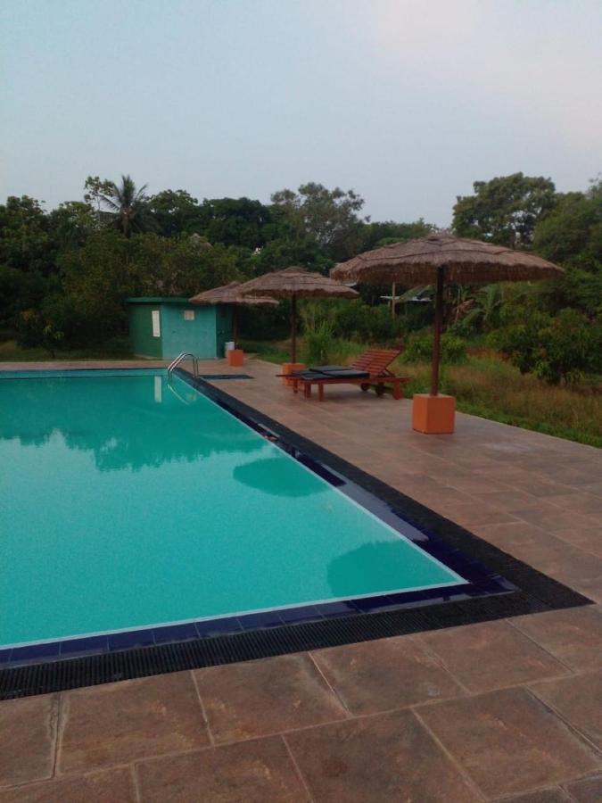 Sigiriya Peacock Homestay Eksteriør bilde