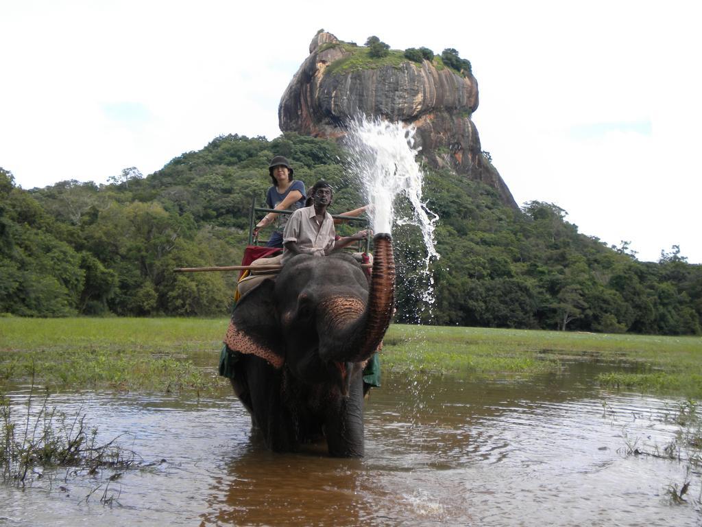 Sigiriya Peacock Homestay Eksteriør bilde