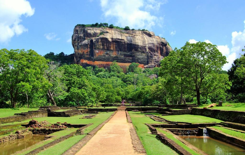 Sigiriya Peacock Homestay Eksteriør bilde