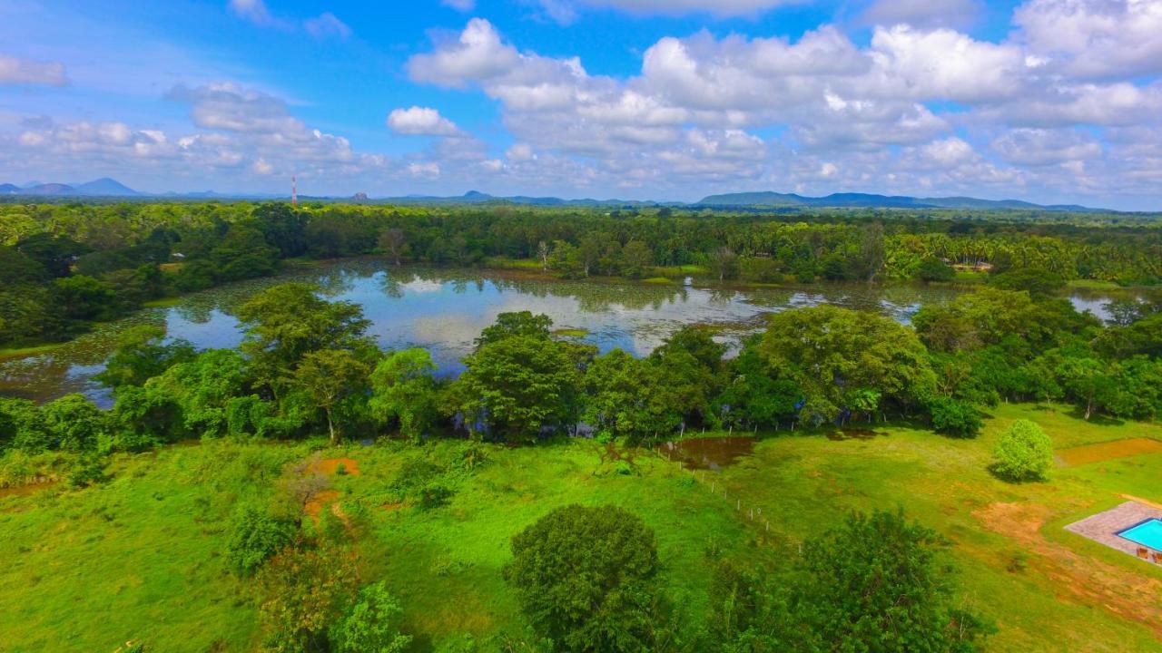 Sigiriya Peacock Homestay Eksteriør bilde