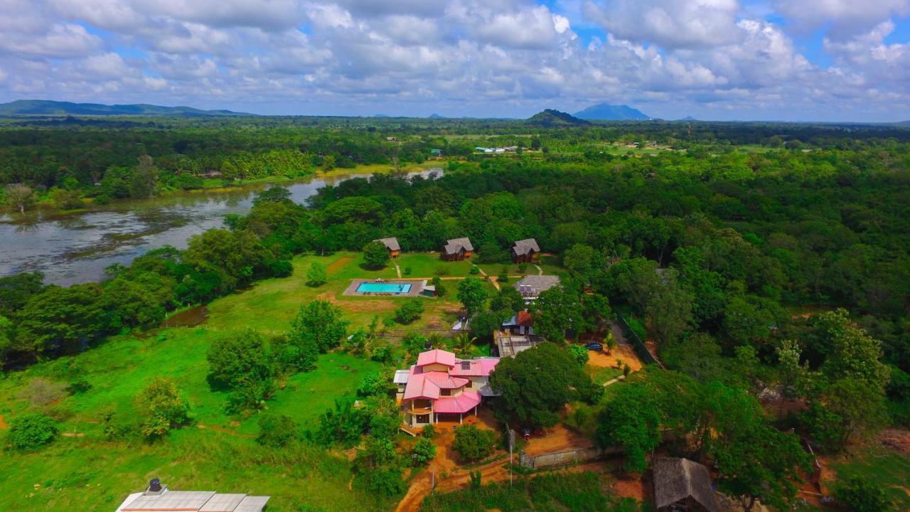 Sigiriya Peacock Homestay Eksteriør bilde
